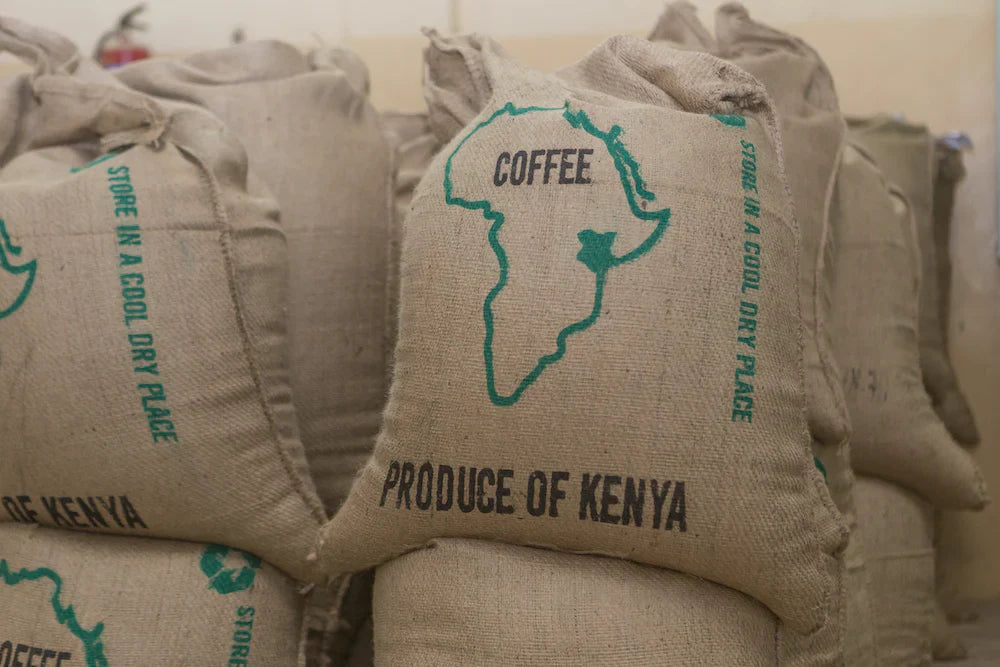 Available Coffees