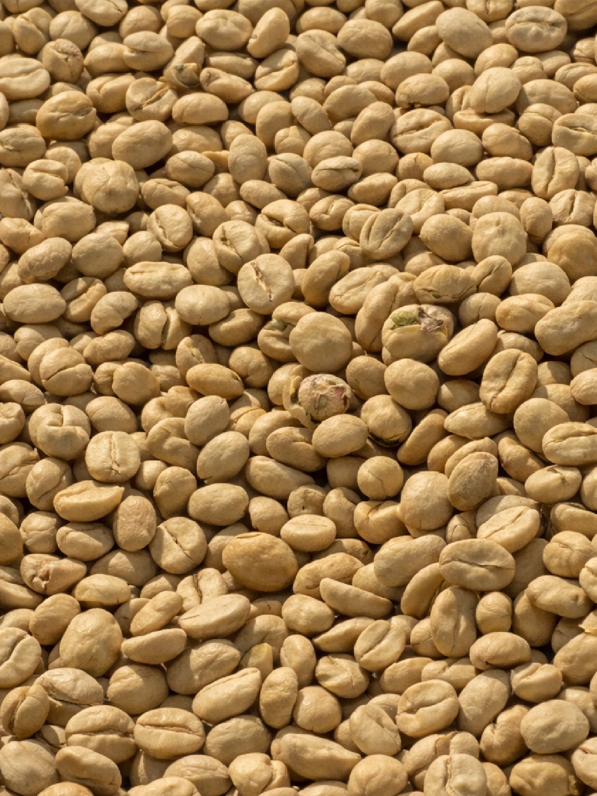 ChatGPT_Image_Jan_2_2026_06_38_02_PM.png