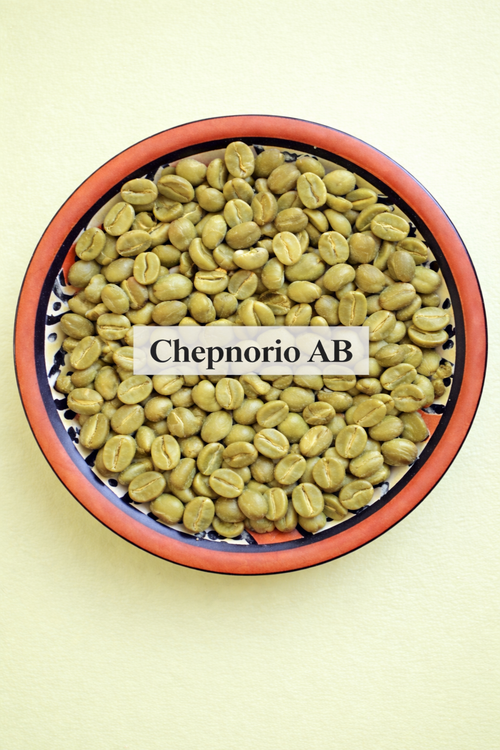 Kenya AB — Chepnorio FCS