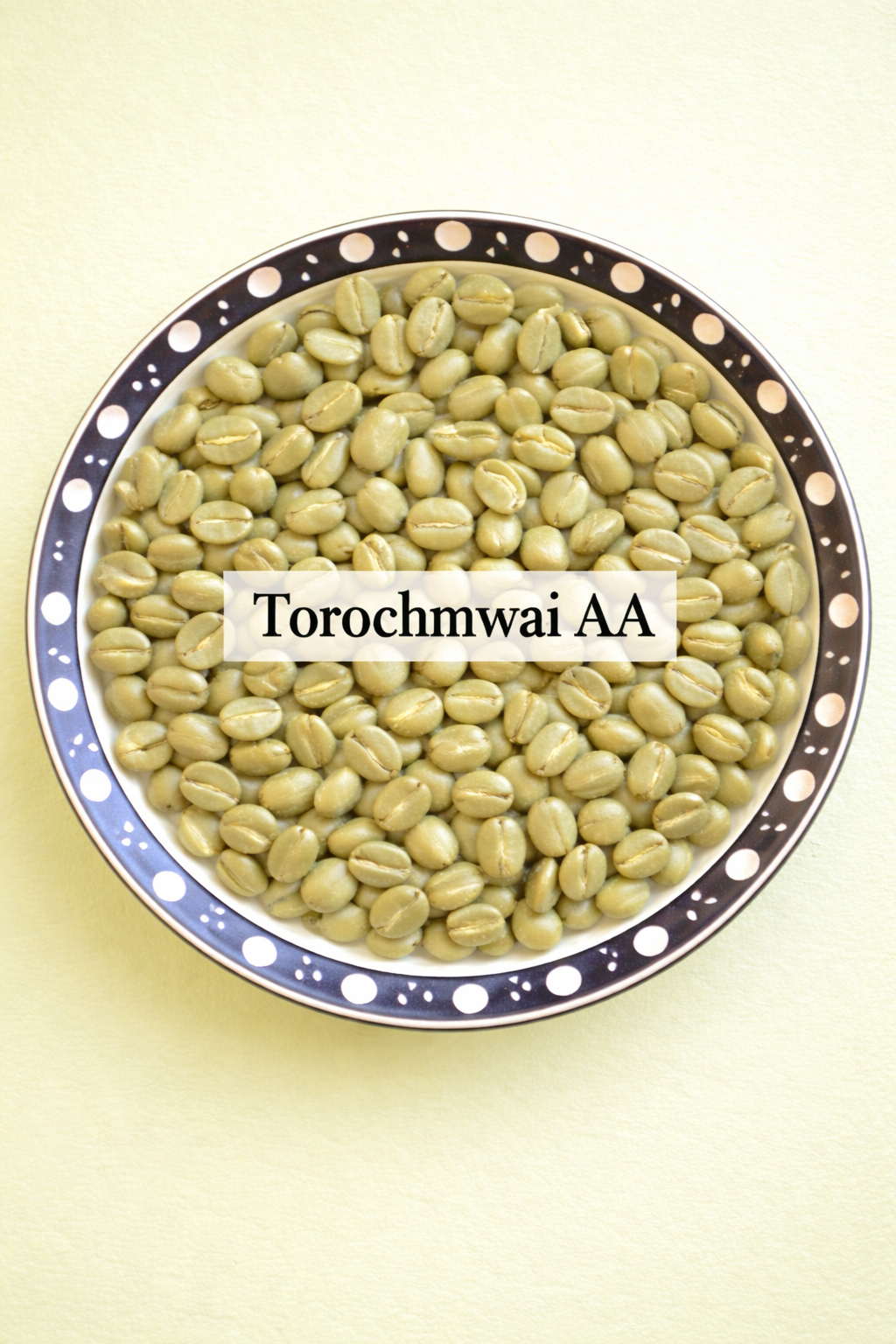Kenya AA — Torochmwai Factory