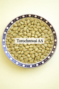 Kenya AA — Torochmwai Factory